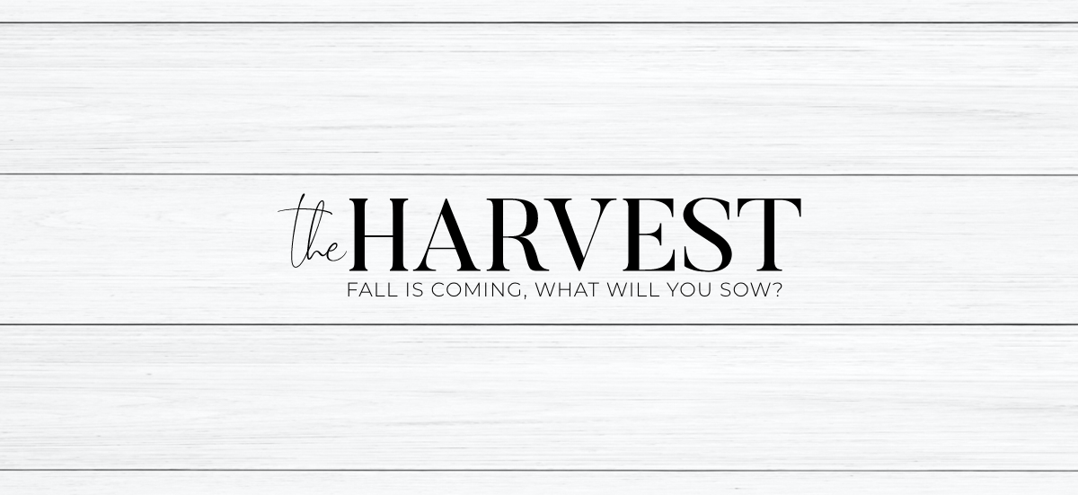 The Harvest: Fall is coming, what will you sow?