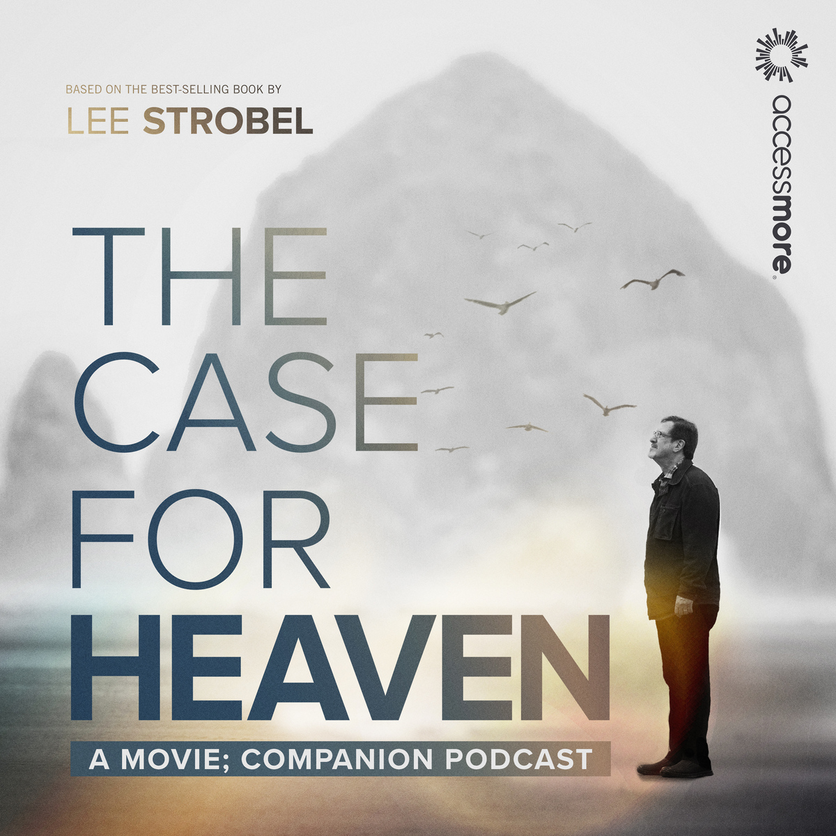 Introducing The Case for Heaven Companion Podcast