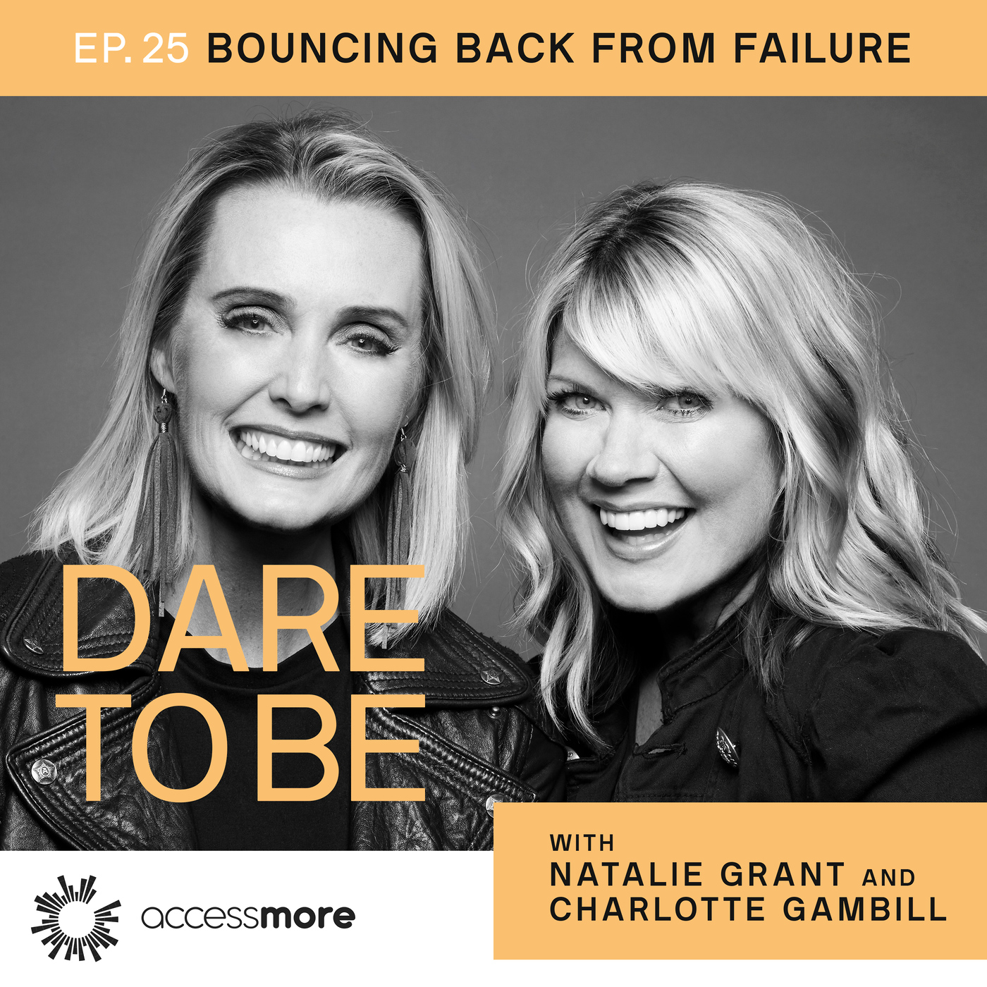 Ep 25: Bouncing Back From Failure episode artwork